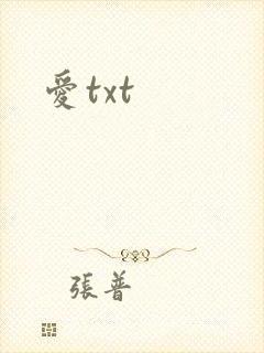 爱txt