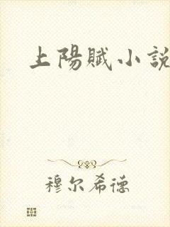 上阳赋小说