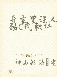 哥家里没人使点劲C我软件