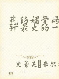 我的媚骨妈妈林轩最火的一句
