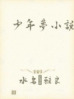 少年梦小说