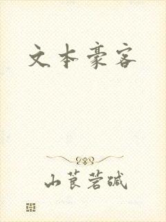 文本豪客封面