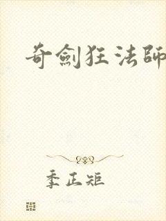 奇剑狂法师封面