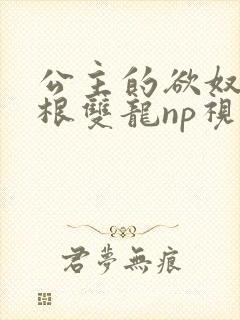 公主的欲奴h四根双龙np视频