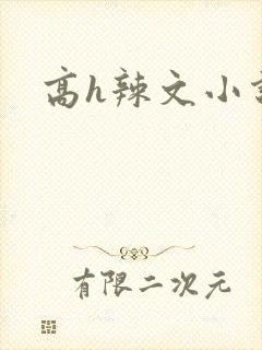 高h辣文小说封面