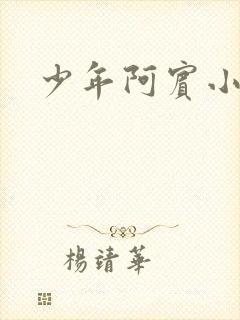 少年阿宾小说