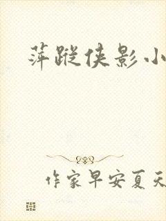 萍踪侠影小说