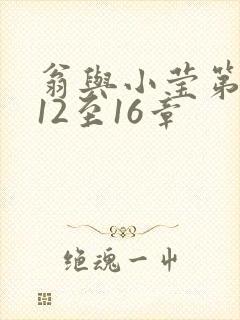 翁与小莹第十部12至16章封面
