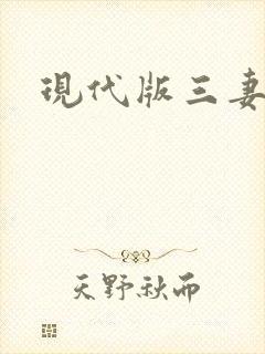 现代版三妻四妾封面