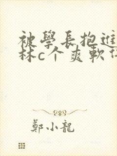 被学长抱进小树林c个爽软件封面