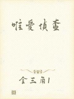 唯爱侦查