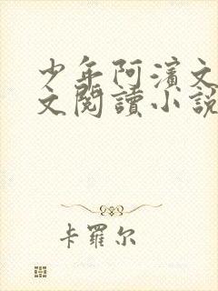 少年阿滨文全全文阅读小说