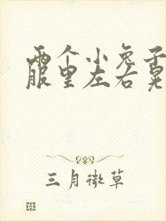 两个小兔子在衣服里左右晃