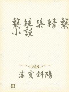 系统集精系统 小说