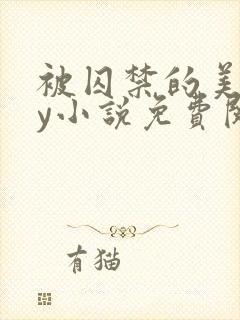 被囚禁的美人by小说免费阅读