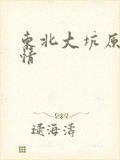 东北大坑原始激情