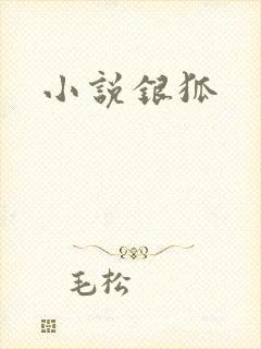 小说银狐封面