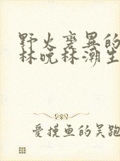 野火变异的父爱林晚林潮生
