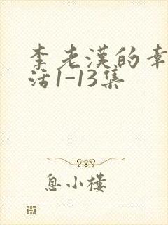 李老汉的幸福生活1-13集