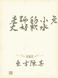 老师的小兔子好大好软水