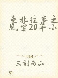 东北往事之黑道风云20年小说