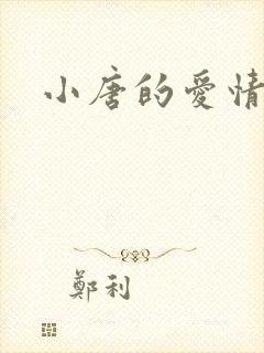 小唐的爱情史封面