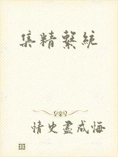 集精系统