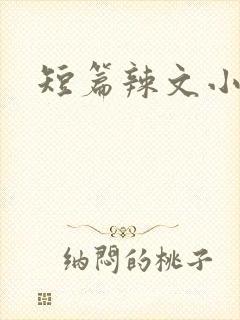 短篇辣文小说封面