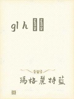 gl h С˵封面