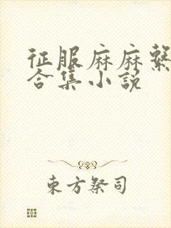 征服麻麻系列大合集小说