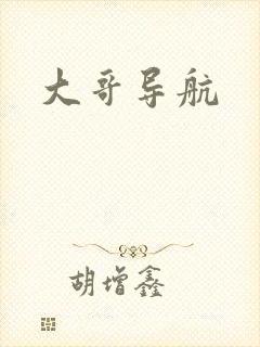 大哥导航封面