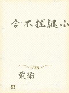 合不拢腿小说