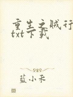 重生之贼行天下txt下载
