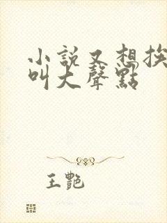 小说又想挨C了叫大声点