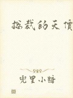 总裁的天价宠妻封面