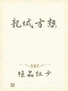龙城方想封面