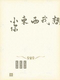 小东西我想弄坏你