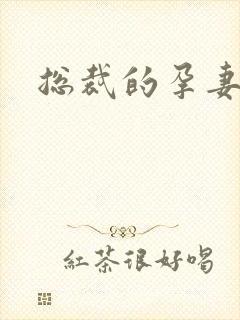总裁的孕妻