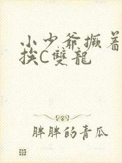 小少爷撅着屁股挨C双龙封面