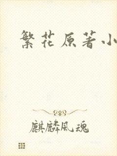 繁花原著小说封面