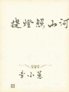 提灯照山河