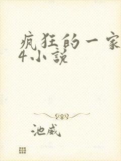 疯狂的一家ps4小说