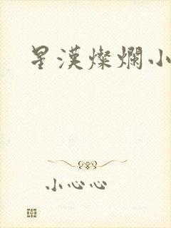 星汉灿烂小说