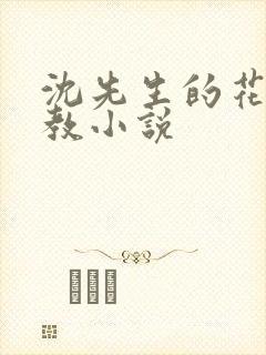 沈先生的花式管教小说封面