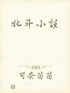 北斗小说