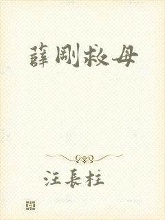 薛刚救母