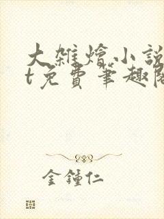 大杂烩小说txt免费笔趣阁封面