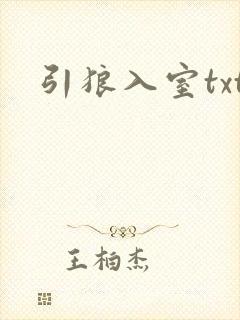 引狼入室txt