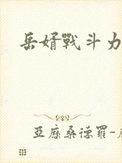 岳婿战斗力