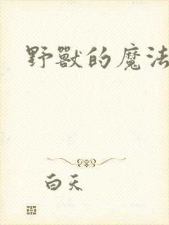 野兽的魔法师